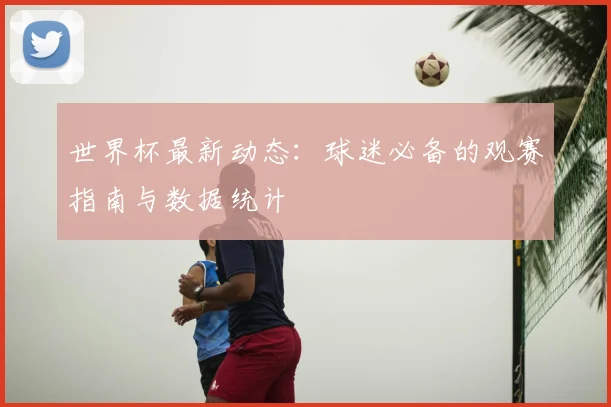 世界杯最新动态：球迷必备的观赛指南与数据统计
